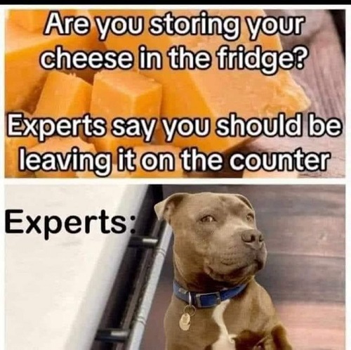 dog leave cheese.jpg